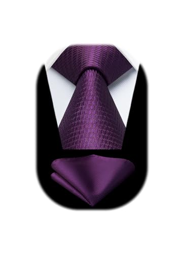 HISDERN Cravate Homme Violet Cravates et Pochette Mariage Élégant Ensemble de Cravate Mouchoir