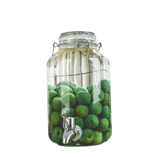 Deronder~ r KXт ʎт 2L/3L/4L/5L eʐHiۑe KX r e LjX^[ R[q[ t ۑe ʎ Â (4L,ی^ + ֌)