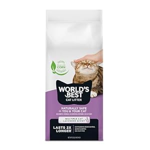 Worlds Best Cat