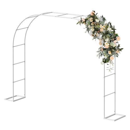 Arche de jardin en métal robuste 120x220 cm pour rosiers