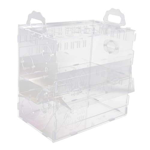 1 nX^[P[W hamster toys hamster cage x[X  xCX ybg  bg̟̏B bg AN Transparent BESPORTBLE