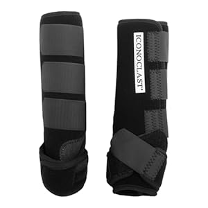 Iconoclast Hind Orthopedic Support Boots MED Black