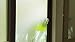 HomeXit - Break Glass Emergency Equipment by SafeTSystems - Fixed in place specialist window breaker for emergency escape from buildings and homes with toughened glass doors, walls or windows. (White)