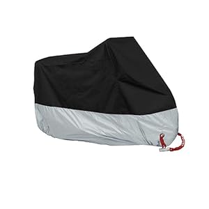 31ygtrzq4jl. sl500 . ss300