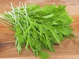 Miniatura 3 de Mostaza Mizuna Great Heirloom Vegetable By Seed Kingdom BULK 30,000 Semillas