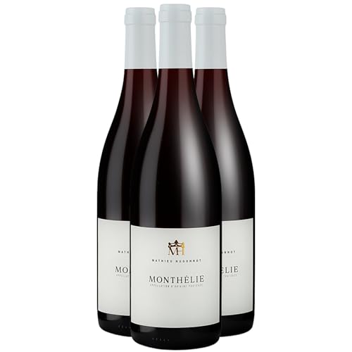 Monthélie Tinto 2020: Exquisito Pinot Noir de Borgoña – Mathieu Hugonnot 3x75cl Monthélie Tinto 2020: Exquisito Pinot Noir de Borgoña – Mathieu Hugonnot 3x75cl