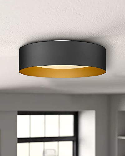 Autelo Flush Mount Ceiling Light, 14" Frosted Glass Shade Close to Ceiling Light Fixture in Black Finish E26 Socket for Living Room Hallway Bedroom C3336XS BK