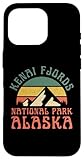 parco nazionale dei fiordi kenai custodia per iphone 16 pro