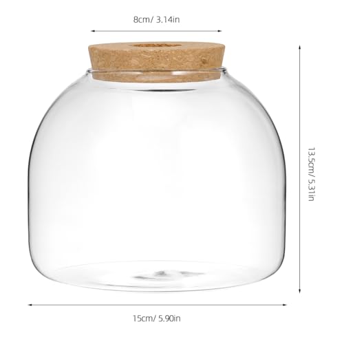 Image of POPETPOP Glass Terrarium with Cork Lid - Glass Fish Tank Plant Terrarium, Tabletop Succulent Planter Aquarium for Hydroponic Plant & Small Fish - for Home, Office Decor