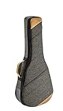 Ortega Guitars