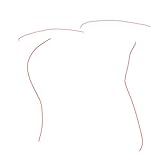 Root