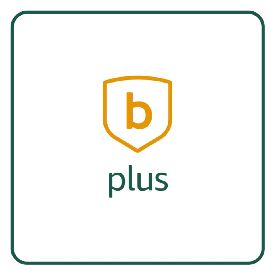 blink plus plan with monthly auto-renewal