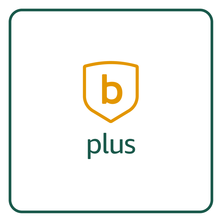 blink plus plan with monthly auto-renewal