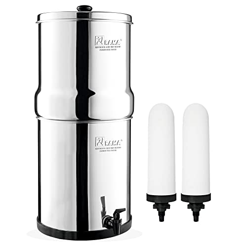 The Best Stainless Steel Water Filter in India 2024 World Blaze