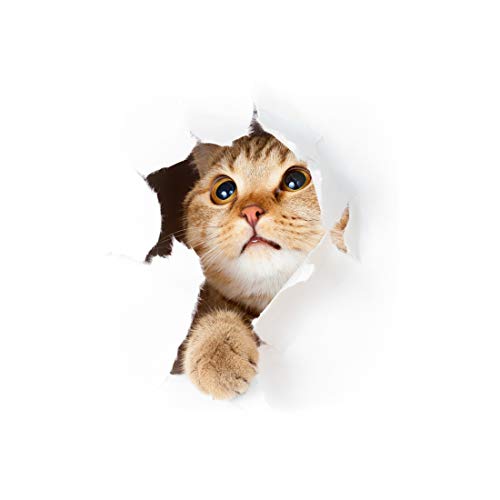 Stickers adhésifs Effet 3D | Sticker Autocollant Petit Chat - Décoration Murale Trompe l'œil Cuisine - 25 x 20 cm cm