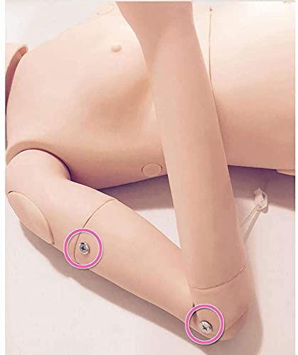 BBYT Nursing Skills Training Manikin Female Patient Care CPR Dummy Patient Care Genitals Lnterchangeable for Nursing Medical Training Teaching Education Medical Supplies - Thumbnail 2