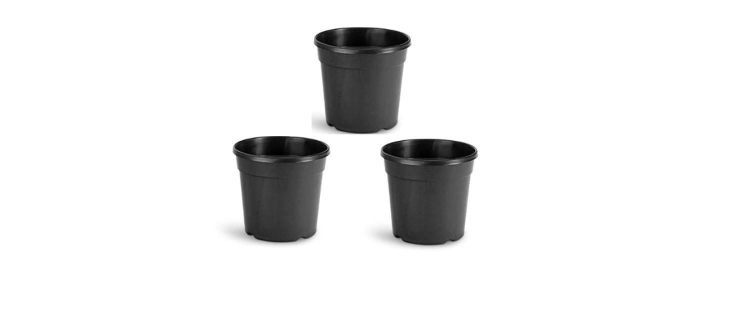 DEKORA GREENS Plastic Nursery Pot Planter - Stylish Decorative Planter for Indoor & Outdoor Plants, Durable Flower Pot for Home, Office, Patio, and Garden Decor (3, 5.5 Inches) (B0DFTQBPKJ) Amazon Price History, Amazon Price Tracker