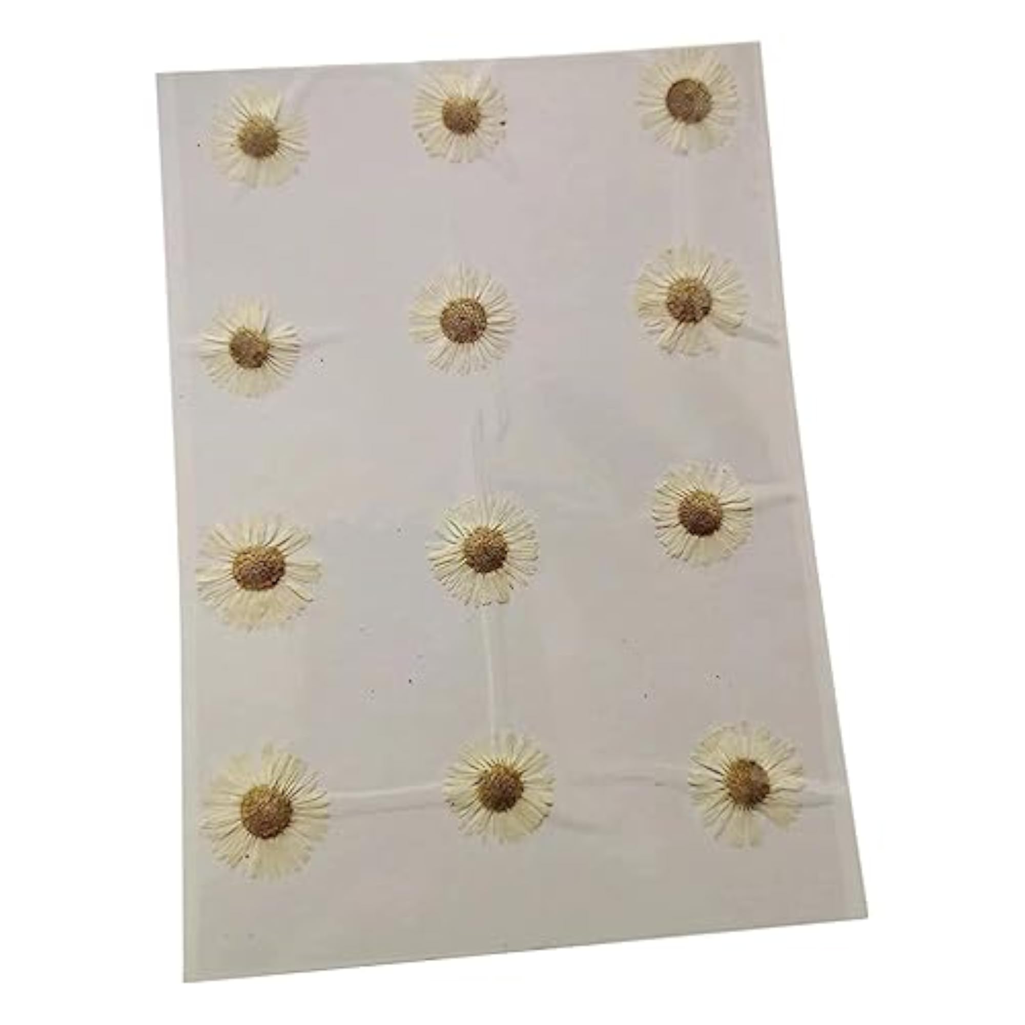 12x Dried Pressed Flowers DIY Art Crafts White