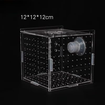 Caja de cría de peces de acrílico transparente para aislamiento y desove de acuarios con diseño flotante y soporte de ventosa 10 x 10 x 10 cm (12 x 12 x 12 cm)