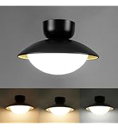 FRIDEKO HOME LED Deckenleuchte Dimmbar mit Lampenschirm Glas,Deckenlampe Schwarz Gold Rund Badlam...