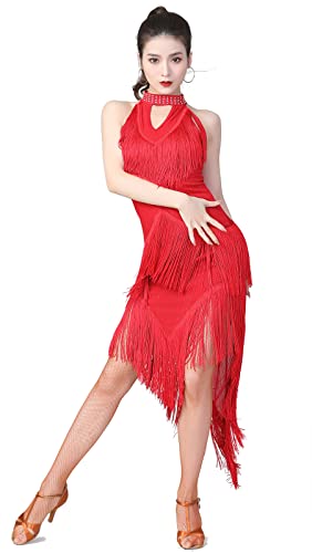 ZX Women's Ballroom Latin Tango Salsa Dance Dress High Low Swallowtail Fringe Skirt Dance Costume...