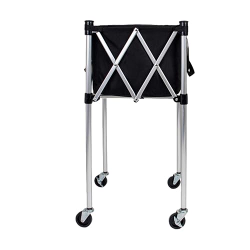 TZZTLX^[ t {[  ܂ {[ [J [g eʃ{[ [ JS A~j E Kp y 싅ATbJ[AejXAoXPAo[ {[AJ[gA싅Ȃǂ̃{[Ή (B,ubN)