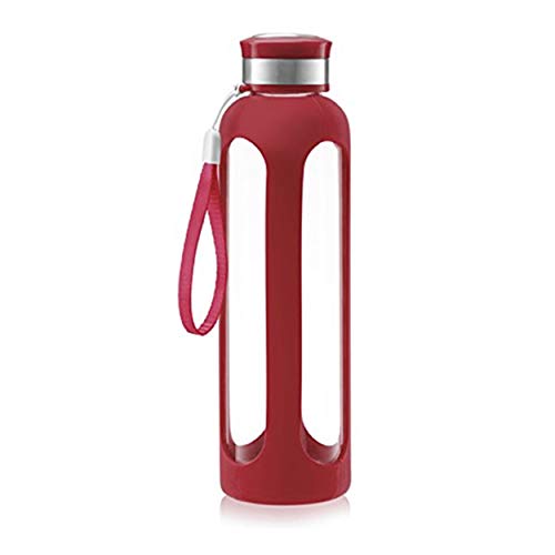 SWIG SAVVY Glass Water Bottles with Protective Silicone Sleeve & Stainless Steel Leak Proof Lid - Wi - //coolthings.us