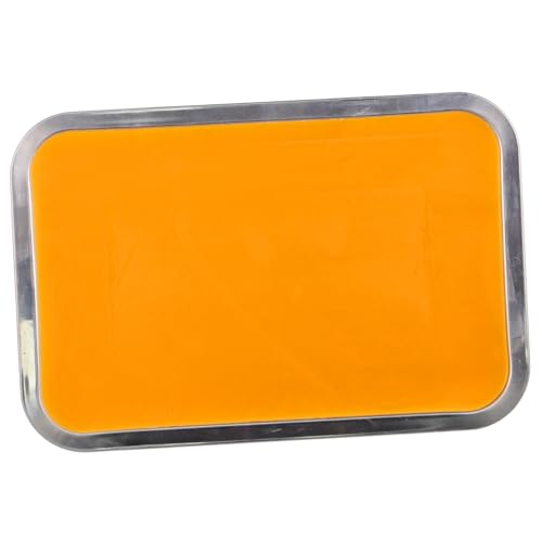 SOLUSTRE 21cm x 31cm Metal Lab Tray Wax Dissection Tray Stainless Steel Wax Plate Bulk Dissection Pans