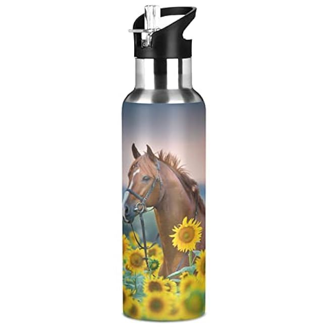 ALAZA Fire Rainbow Dragon Water Bottle with Straw Lid Vacuum Insulated Stainless Steel Thermo Flask Water Bottle 20oz