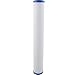 EVERPURE CG5-20S Water Filtration Cartridge For Ice Machines EV910827