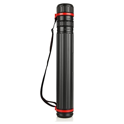 FVIEXE Poster Tube, Small Poster Tube with Adjustable Strap, Art & Poster Storage Transport Tubes, Carry Document, Blueprint, Drawing and Artwork, Poster Holder Tube Cases Expand from 17.5 to 28 Inch