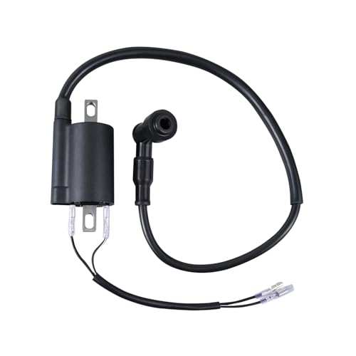 Bobine d'allumage haute tension 12 Volts : allumage rupteur moto ancienne