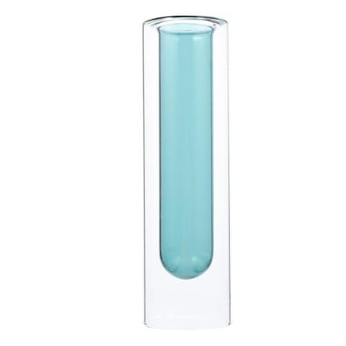 Jarrón de cristal jojofuny de doble capa para plantas pequeñas 2