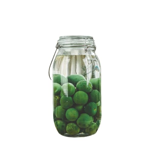 Deronder梅酒 瓶 ガラスびん 果実酒びん 2L/3L/4L/5L 大容量食品保存容器 ガラス 密封瓶 密閉容器 キャニスター コーヒー豆 茶葉 砂糖保存容器 果実酒 づくり (2L,丸型)