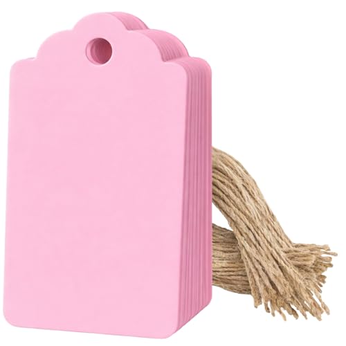 Image of CVANU 100pcs Premium Color Tag Blank Hanging with Pre-Punched Hole Tags for DIY Crafts, Gift Wrapping, Labelling & Writable Decorative Tags for All Occasions (2.85in X 1.7in) Light Pink2