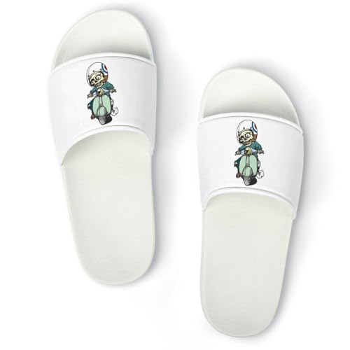 [MOLIHUACHA] W  Xbp T_ Y fB[X  [V[Y r[`T_ V[p y ~ R hL ʋC  qp Op ėp 