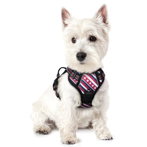 Image of rabbitgoo Dog Harness No Pull with 2 Leash Clips, Adjustable Soft Padded, Reflective Oxford No Choke Pet Vest with Easy Control Handle for Large Dogs, Red Stripe, XS