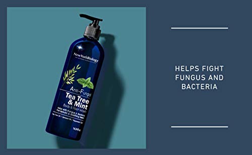 New York Biology Tea Tree Mint Body Wash For Men And Women – Moisturizing Body Wash Helps Fight Athletes Foot, Itchy Skin, Jock Itch, Toenail Fungus, Ringworm, Body Odor, Acne And Eczema – 16 Fl Oz #TOP2