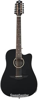 H. Jimenez Glossy Guitarra Doble (12 String Guitar) Cutaway Electric with Hard Wood Case, Glossy Black