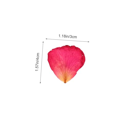 Pétalos de rosa secos 250g material natural para manualidades miniatura 2