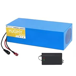 Amazon.co.jp: 電動自転車用バッテリー: スポーツ＆アウトドア