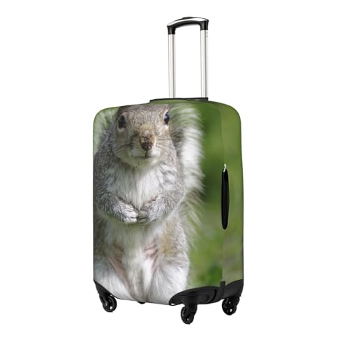 Squirrel Print Luggage Suitcase Covers Elastic Washable Luggage Protector Luggage Covers For Suitcase2
