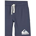 Quiksilver Easy Day Boy Elatic Waist Fleece Short - Image 3