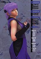 DEAD OR ALIVE 4 OFFICIAL GUIDE -BASIC FILE- (ファミ通Xboxの攻略本) DEAD OR ALIVE 4 OFFICIAL GUIDE -BASIC FILE- (ファミ通Xboxの攻略本)