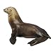 Safari Ltd. Sea Lion Figurine - Detailed 3.1