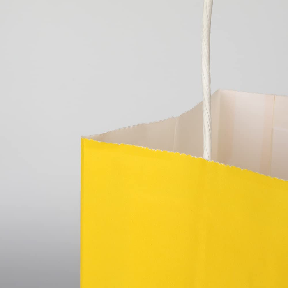 Sacchetti regalo, 50 pezzi, 25 x 12 x 33 cm, sacchetti di carta