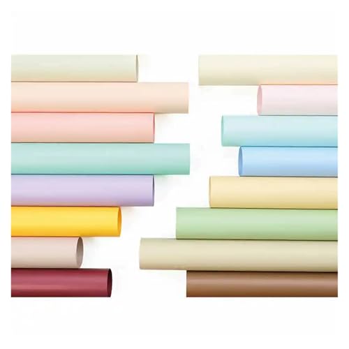 WENHA(ȓX) hfގAԗpntBA20(Sku11-20sheets)