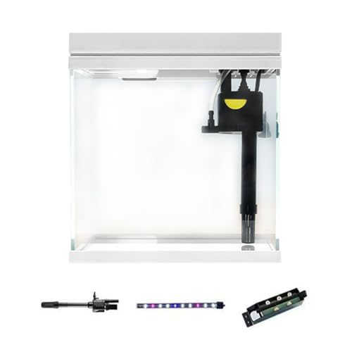 Acuario De Escritorio Completo, 7l Mini Acuario Set De Inicio Acuario De Mesa Silencioso Con Bomba De Agua Sistema De Filtrado Para Acuario Pequeño Con Luces Led Para Peces Betta Camarones Acuario De Escritorio Completo, 7l Mini Acuario Set De Inicio Acuario De Mesa Silencioso Con Bomba De Agua Sistema De Filtrado Para Acuario Pequeño Con Luces Led Para Peces Betta Camarones
