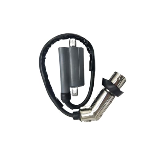 Bobina de encendido para ATV QUAD LH260 LH300 repuesto encendido 260CC 300CC
