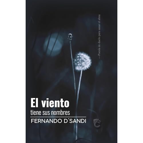 EL VIENTO TIENE SUS NOMBRES Audiolibro Por FERNANDO D´SANDI arte de portada